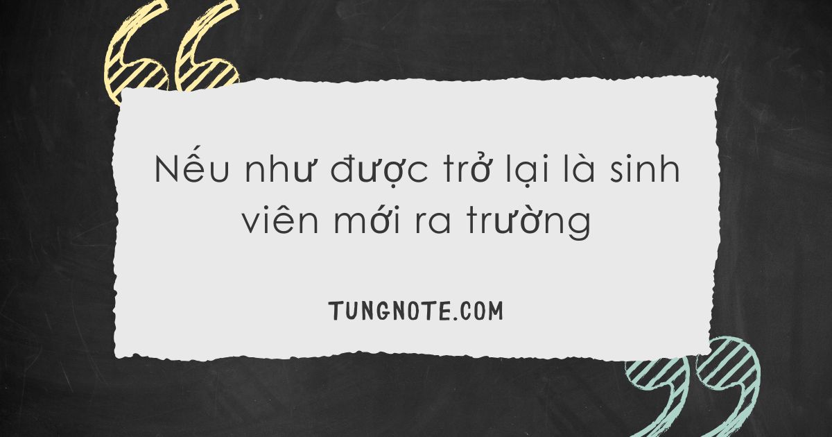#1 Nếu như được trở lại là sinh viên mới ra trường